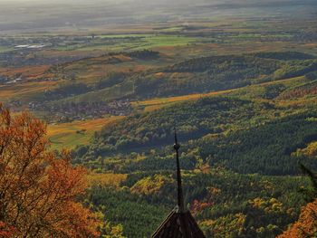 High angle view of trees on landscape