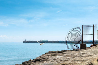 A seagull in flight at folkestone harbour by the english channel, kent