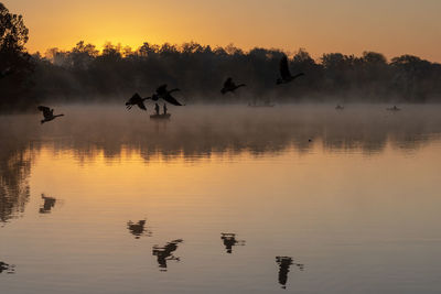 Lake at dawn

