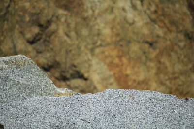 Close-up of rock