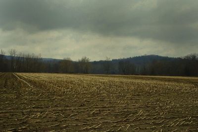 Scenic view of landscape against cloudy sky