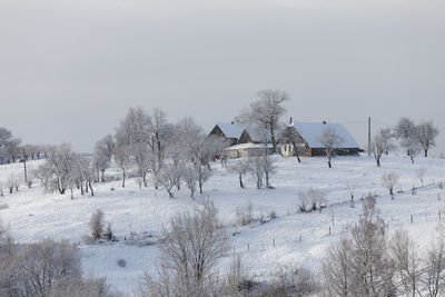 Bare trees on field against sky during winter