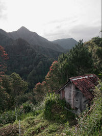 Scenic view of trees and houses against sky