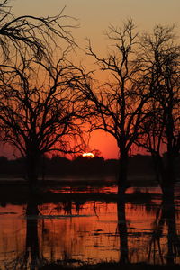 Silhouette trees by lake against sky during sunset