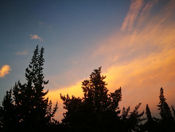 Low angle view of silhouette trees against sky during sunset