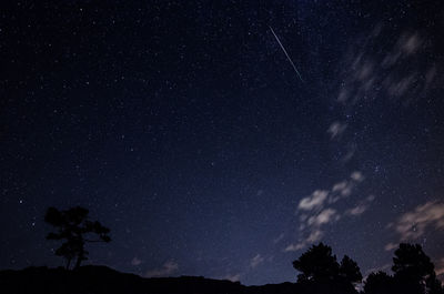 Low angle view of silhouette trees against star field at night