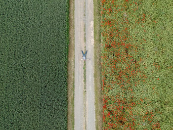 Aerial view of man lying on road amidst field