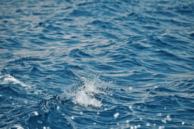 Full frame shot of rippled water