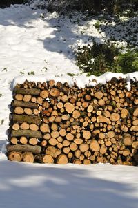 Stack of logs in forest during winter