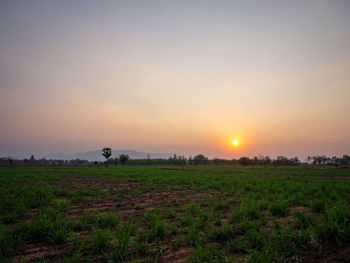 Scenic view of field against sky during sunset