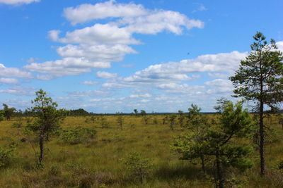 Scenic view of grassy field against cloudy sky