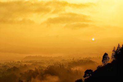 Silhouette trees on mountain against sky during sunset