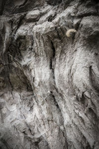 Full frame shot of rock formation