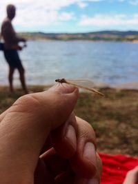 Midsection of person hand  with insect 