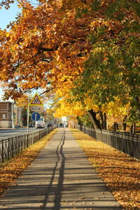 View of trees in city