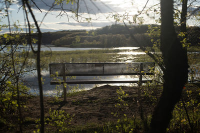 Scenic view of lake by trees