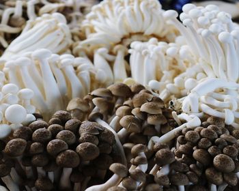 High angle view of dessert on table