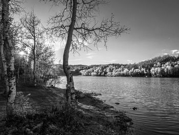 Scenic view of lake in forest against sky