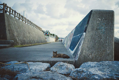 Golden gate on retaining wall against sky