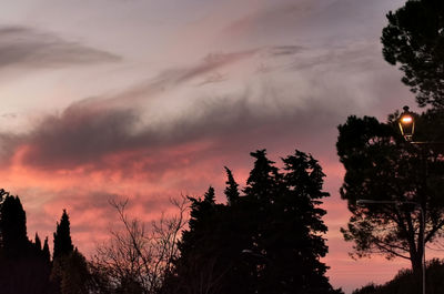 Low angle view of silhouette trees against sky at sunset