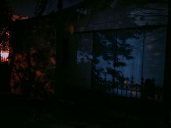 Silhouette trees by building at night