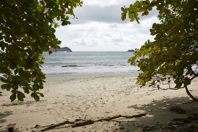 Scenic view of beach against sky