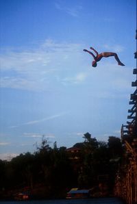 Bird flying over blue sky