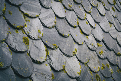 Full frame shot of brick wall