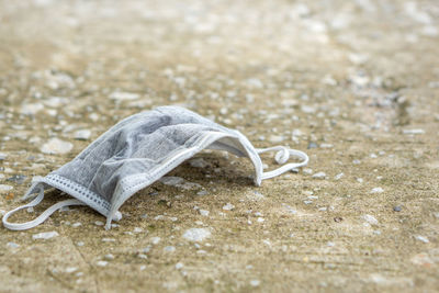 Close-up of umbrella on beach