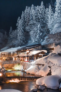 Illuminated buildings by trees during winter