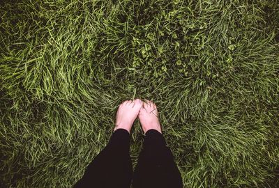 Low section of person standing on grassy field