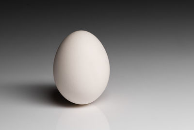 Close-up of egg against white background