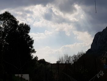 Low angle view of silhouette trees against sky