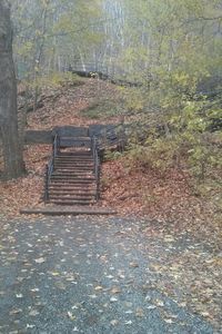 View of staircase