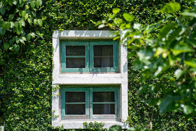 Exterior of abandoned building