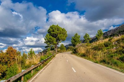 Road amidst trees against sky