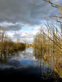 Reflection of bare trees in lake against sky