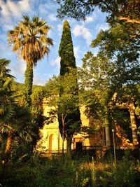 Trees by historic building against sky