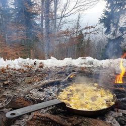High angle view of bonfire on snow covered trees