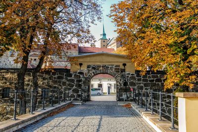 Footpath amidst trees and buildings during autumn