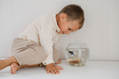 Boy looking at fish tank. cute little boy feeding fish in aquarium on the table at home