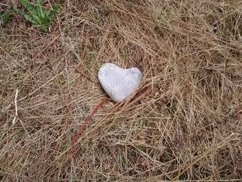 High angle view of heart shape on grass