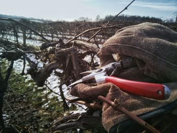 Close-up of fishing net hanging on tree