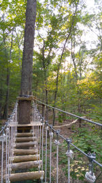 Footbridge in forest