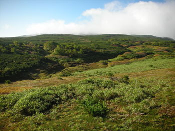 Scenic view of landscape against sky