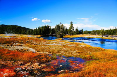 Scenic view of lake in forest against blue sky