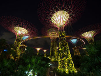 Low angle view of illuminated tree against sky at night