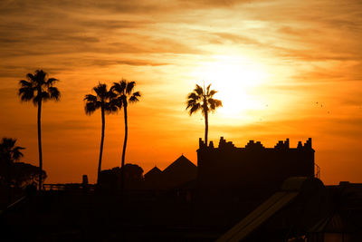 Silhouette palm trees against sky during sunset