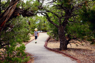 Rear view full length of boy on footpath amidst trees at dinosaur national monument