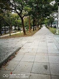 Road amidst trees